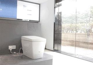 日本马桶品牌排行榜前十名,日本马桶领先