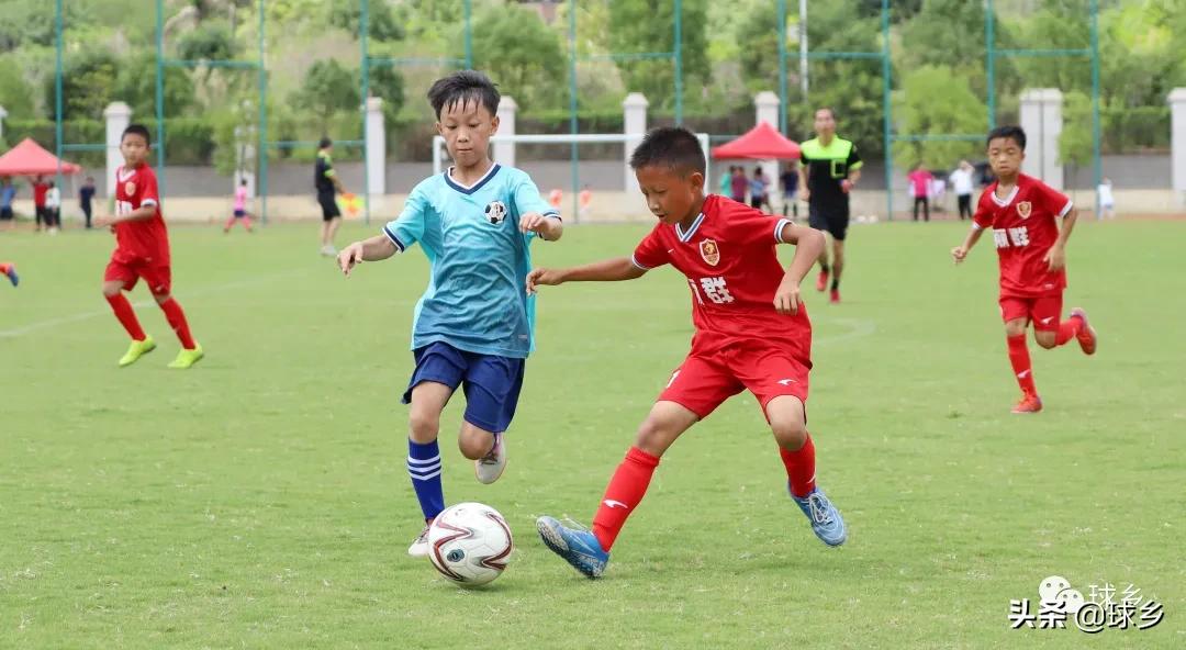 区中小学足球联赛,体教融合杯中学篮球赛