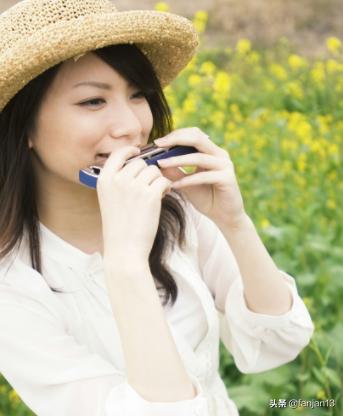 口琴基础歌曲,口琴0基础