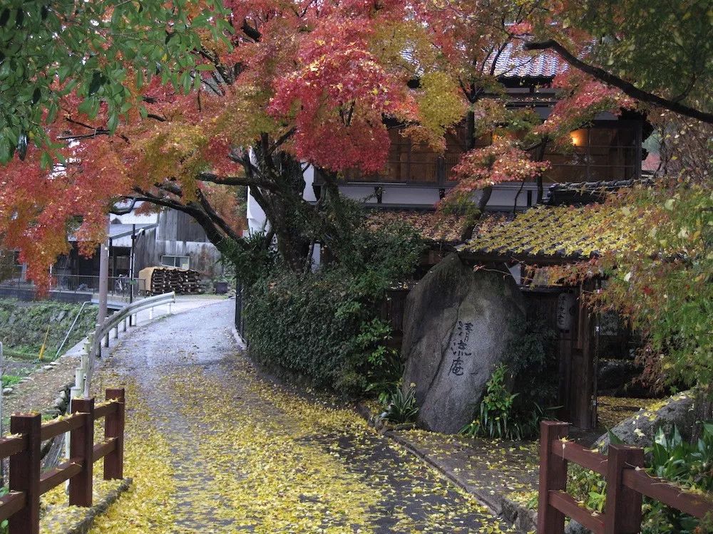 秘境的攻略,秘境旅游小众