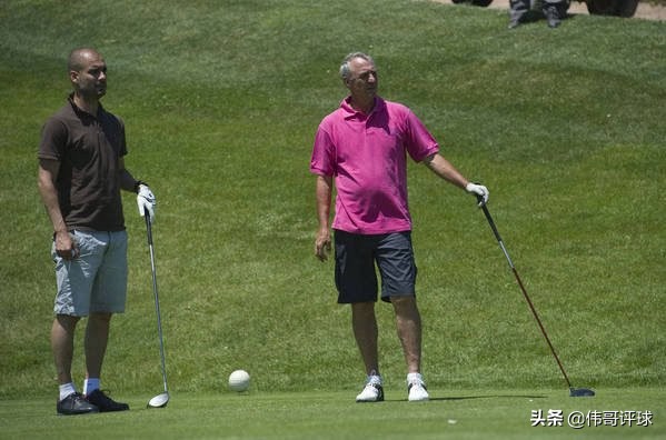 荷兰郁金香克鲁伊夫,克鲁伊夫郁金香