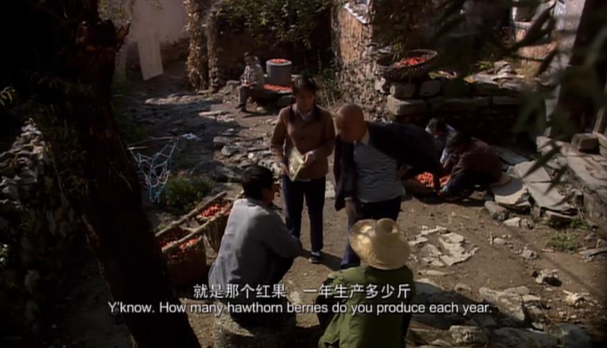 命运呼叫转移大头是怎么进监狱的,命运呼叫转移1山区呼救无人相信