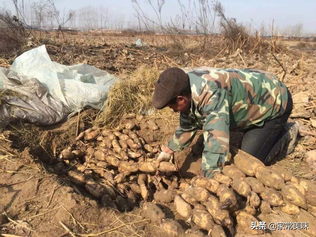 冬天莲藕挖起怎么保存不会紫,煮熟了的莲藕怎样保存不会发黑