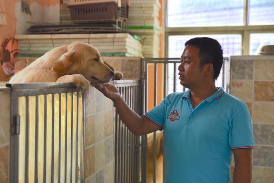 专门培训狗狗,狗狗训练中心培训基地训狗