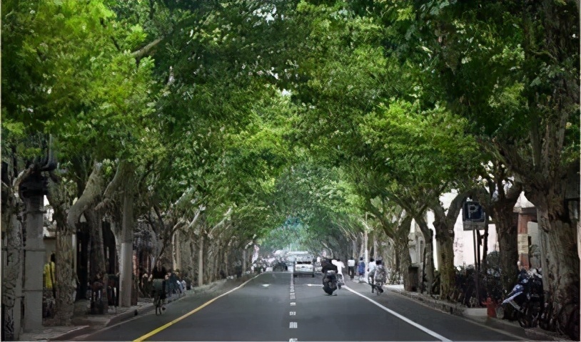 泸州旅游推荐景点大全最新,合肥旅游免费景区推荐