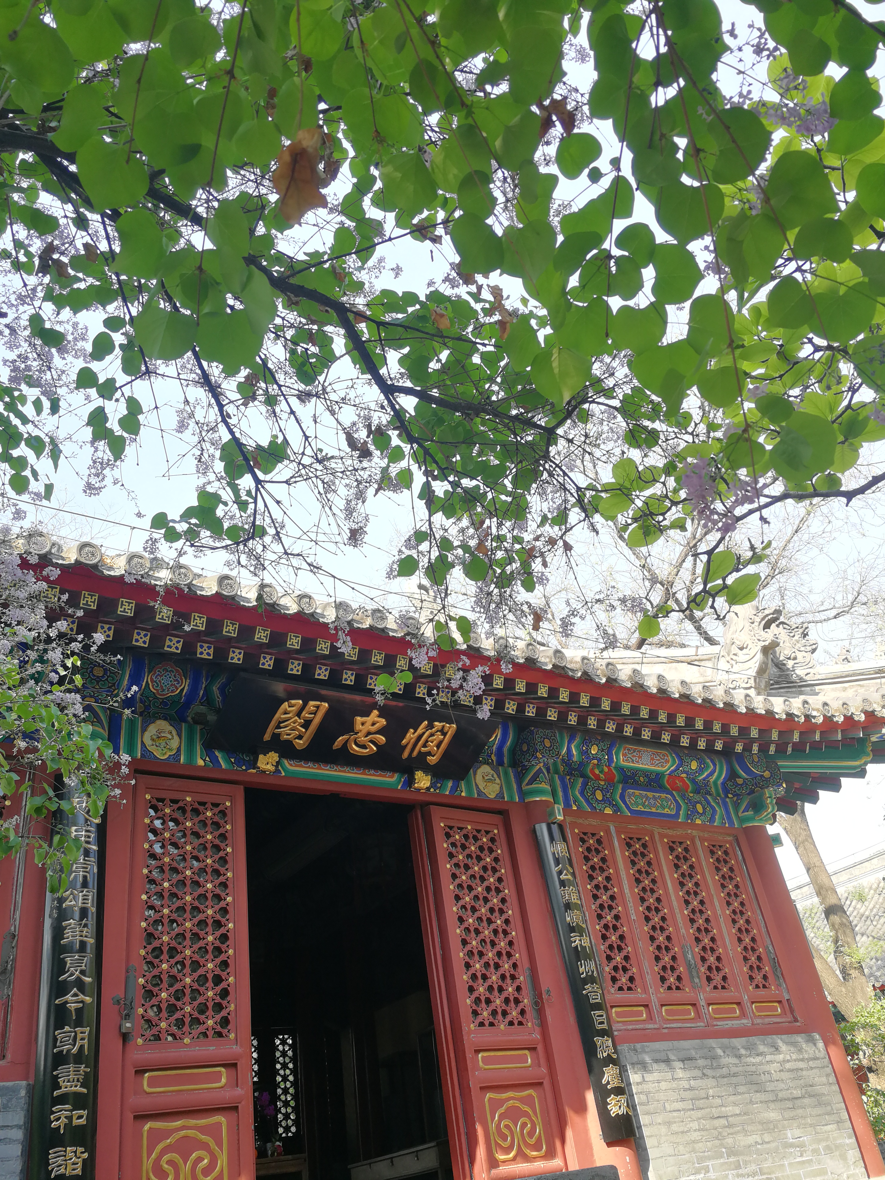 法源寺散文,散文丁香花邂逅法源寺