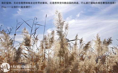 重庆行旅行社,重庆行千里国际旅行社靠谱吗