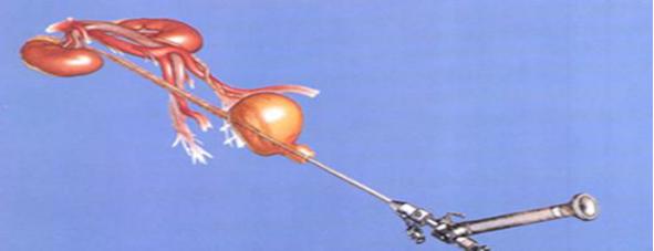 山东治疗泌尿外科比较好的医院,山东大学附属医院泌尿外科专家