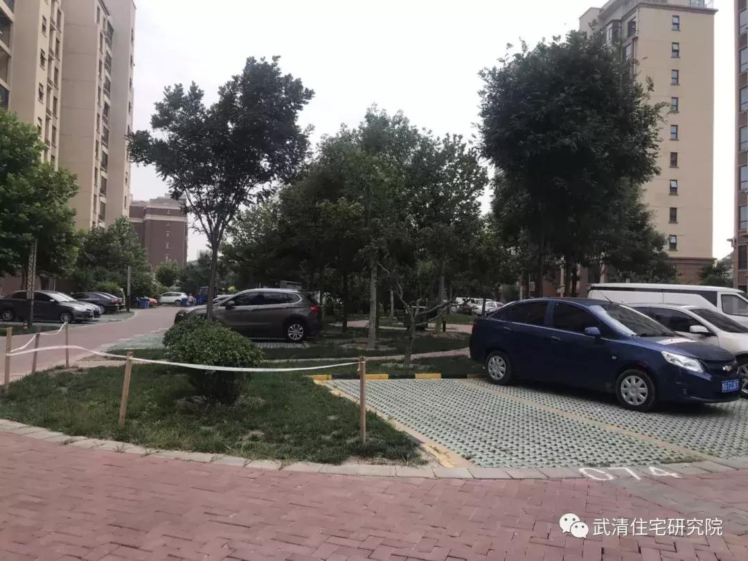 天津市大妈买菜,小区买菜大妈