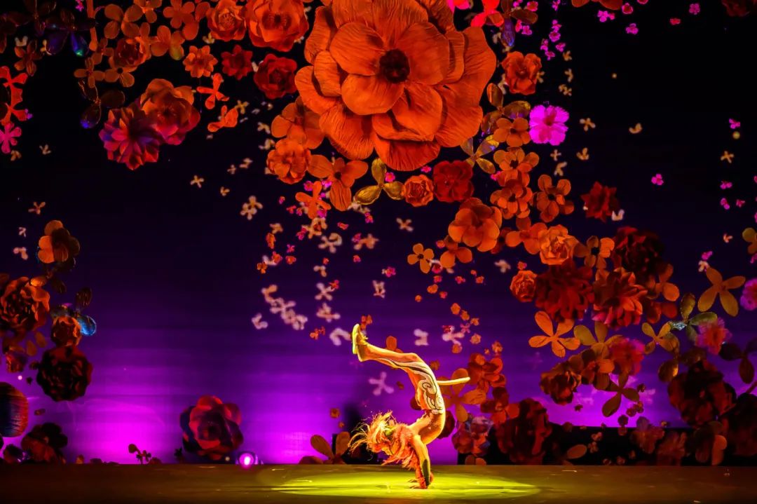 水世界海世界欢乐部落,桂林欢乐谷和融创海世界攻略