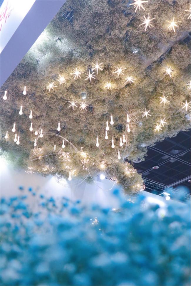 让人惊艳的花展,花展上看到的美到窒息