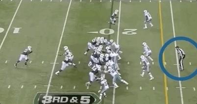 一根藤上七个葫芦好吗,一根藤上七个瓜图片