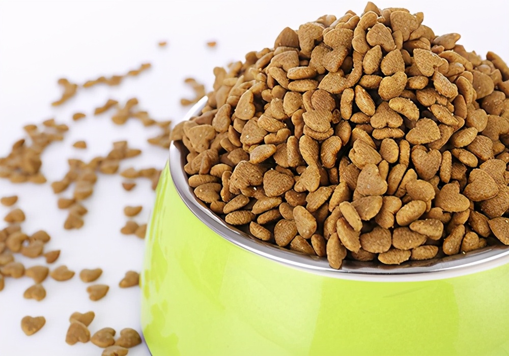 新手养狗拉稀怎么办,幼狗拉肚子和腹泻的区别