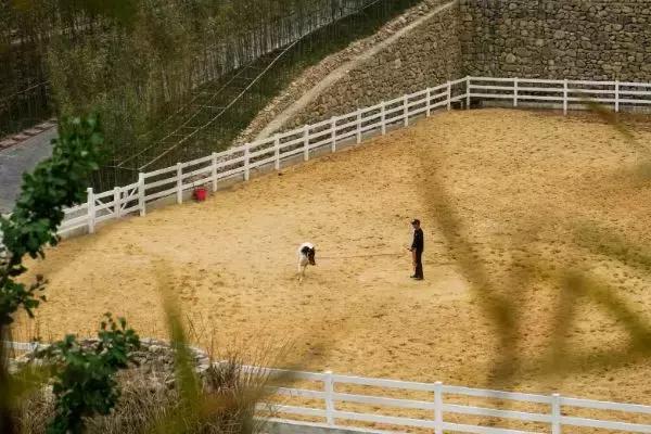 遗世独立的隐居酒店，大自然的馈赠——宁海安岚酒店