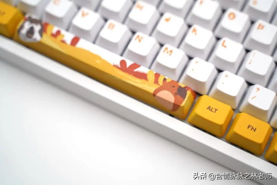 可爱的送给女孩子治愈的礼物,治愈系礼物送女友