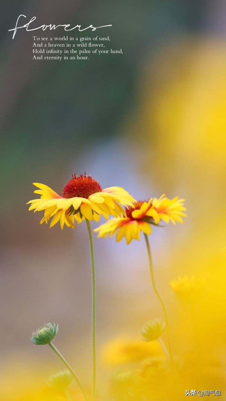 秋分愿生活恰如其分,人生恰如秋分生活恰如其分
