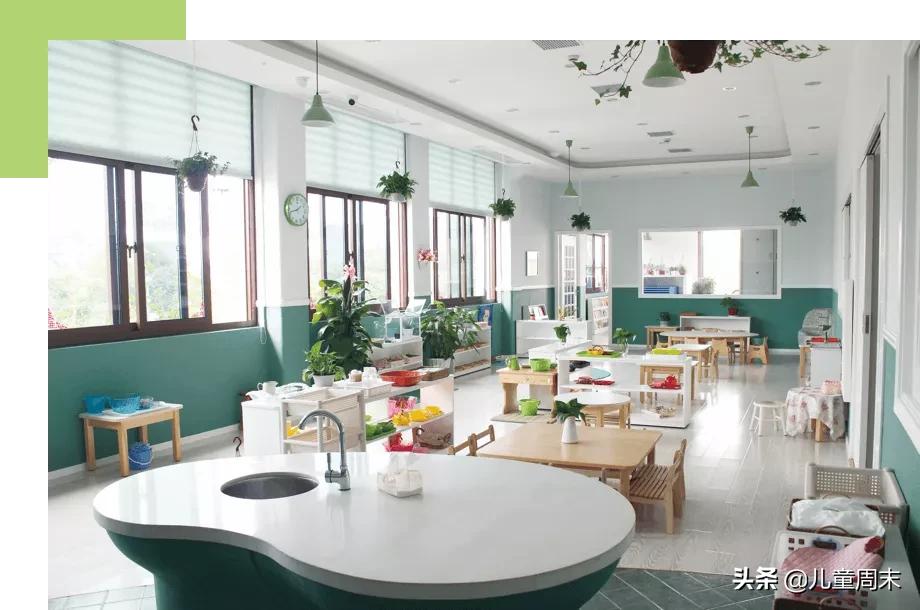 深圳市托育园,深圳育托园最新视频