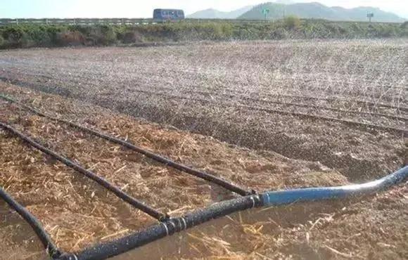 物联网水肥一体化以色列,菜吧家庭农场运营