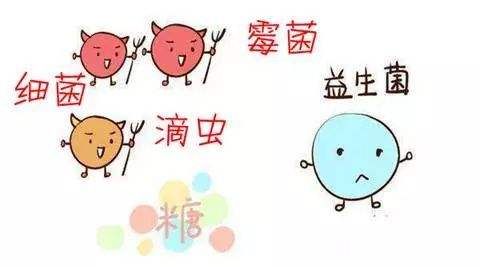 阴道松弛、炎症反复，居然跟盆底功能有关系!