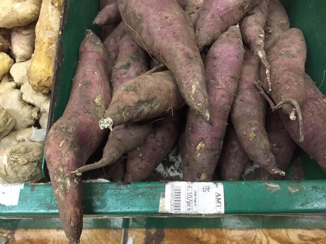 去迪拜旅游看什么东西,去迪拜旅游看到哈利法塔