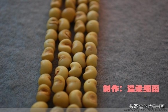 菩提子种类与寓意,手把件菩提子种类