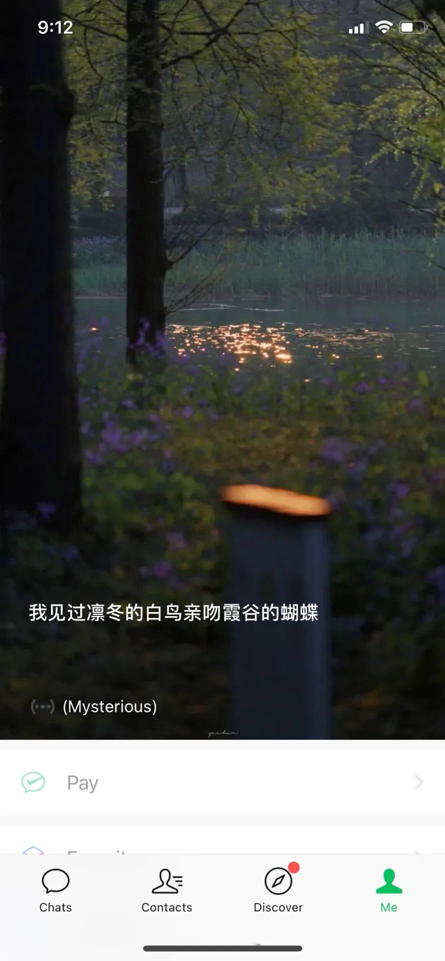 微信动态壁纸高清无水印,微信封面动态视频高级感无水印