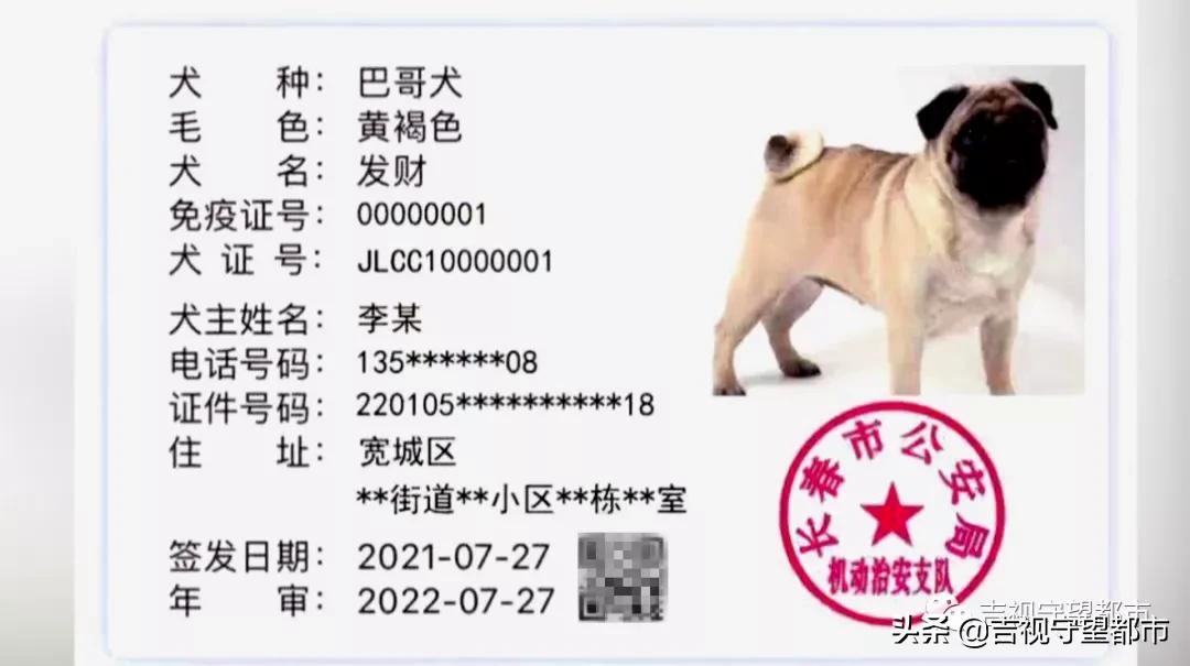 长春养犬管理条例是什么,长春市养犬证办理流程
