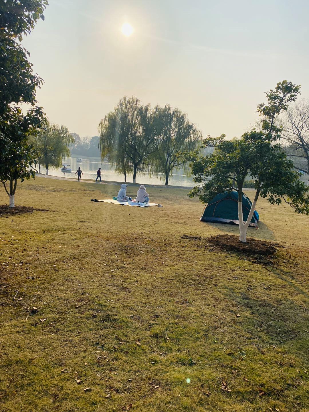 南京最适合夜晚的公园,南京周末户外打卡景点