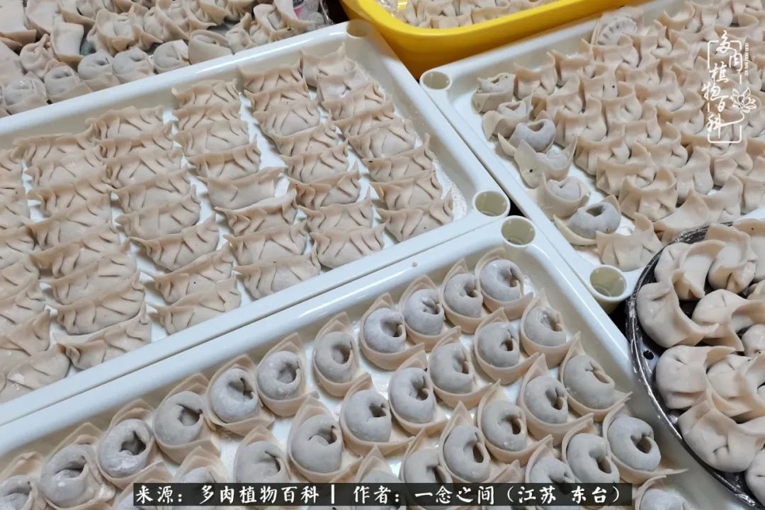 遇见花开蓝莓糖,遇见花开蔬菜沙拉酱