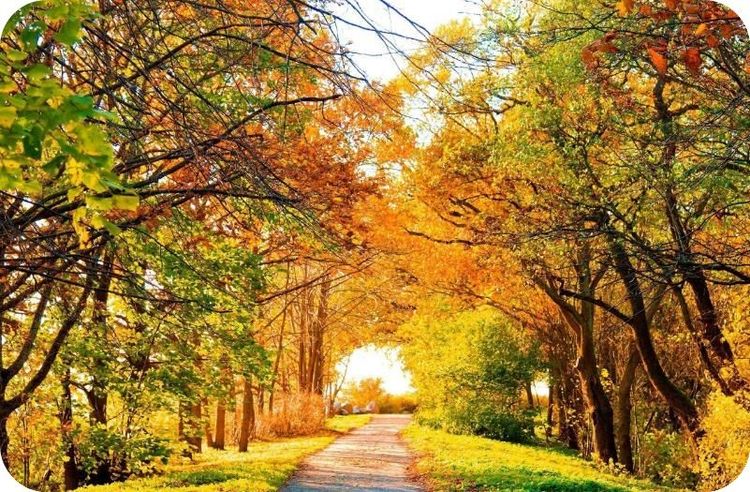 世间事世人度,世间事人间理