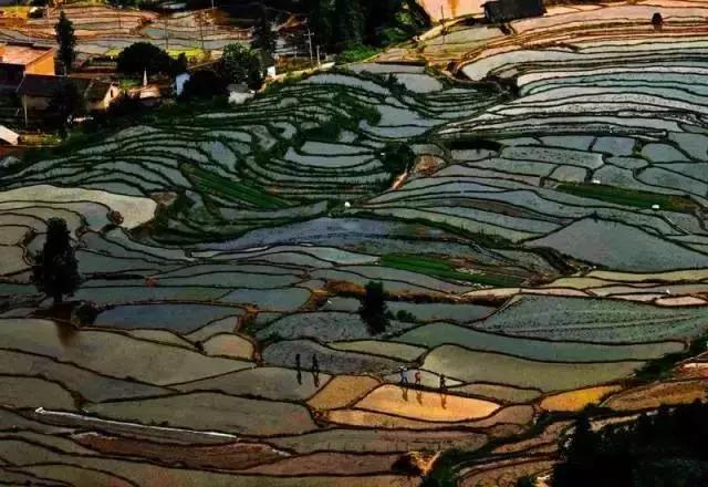 从1000米高处能看风景,从五百米高空看地面什么感觉