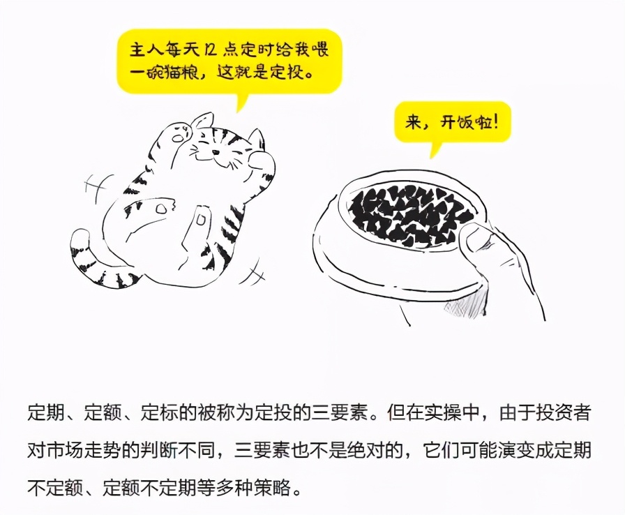 基金怎么买新手入门零基础,买基金应该看的零基础入门书