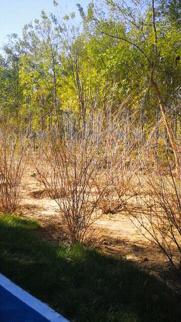 廊坊三叶公园附近,廊坊三叶公园室内游乐场门票