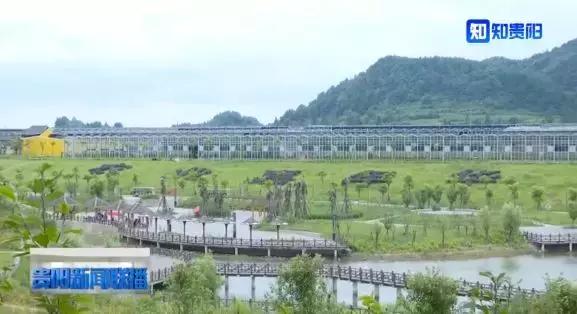 贵州大木村避暑,修文大木村的红色旅游