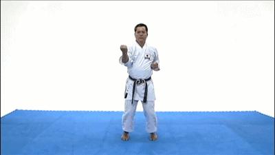 空手道基本功gif,空手道gif