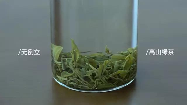 会倒立的才是好绿茶？我们给你做了这个实验