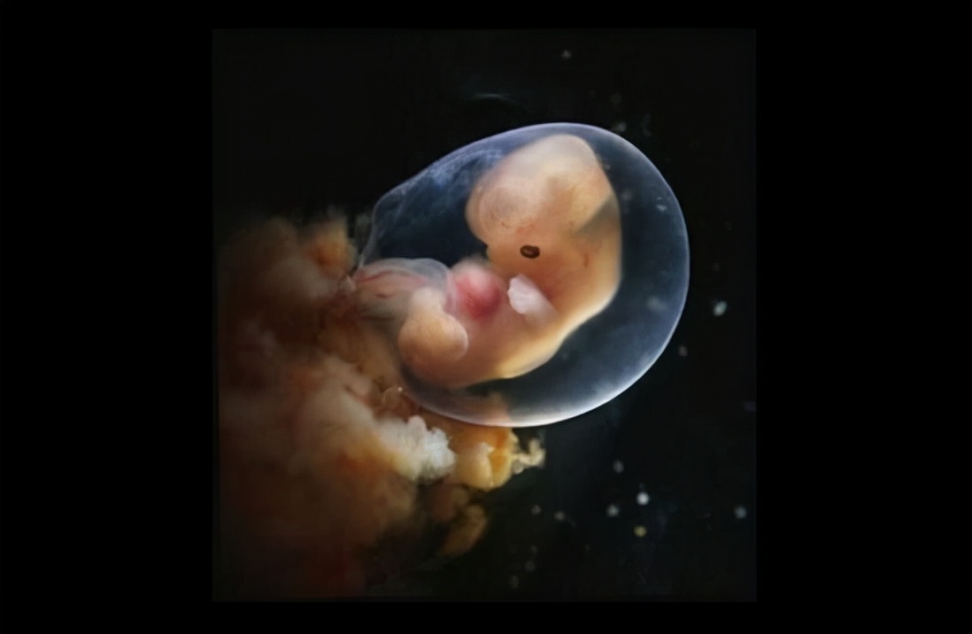 鑻卞浗濂冲瓙缃戜笂璐拱閽堢瓛,閽堢瓛浜哄伐鎺堢簿