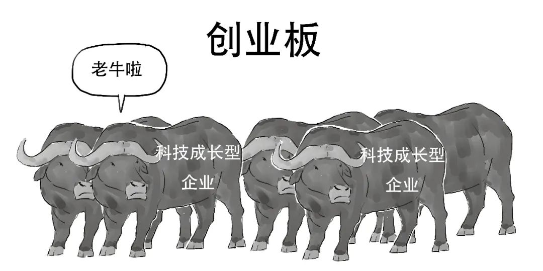 创业板注册制跟之前有什么区别,创业板注册制和以前有什么区别