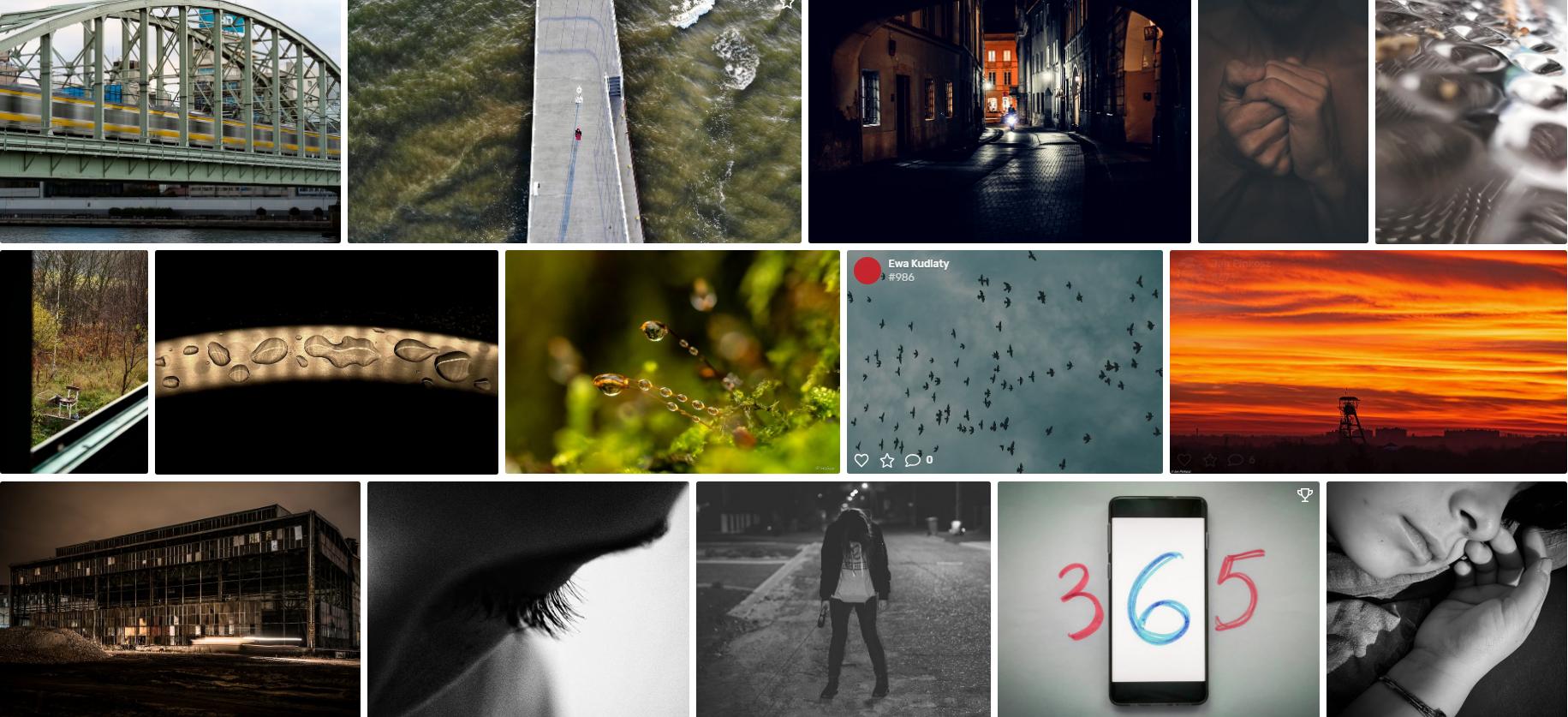 免费可商用png网站有哪些,找不到的照片从哪里下载