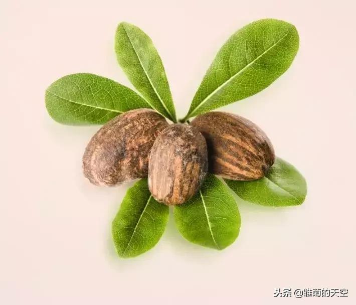 非洲女性如何护肤？保湿？滋润？抗老？防湿疹？！