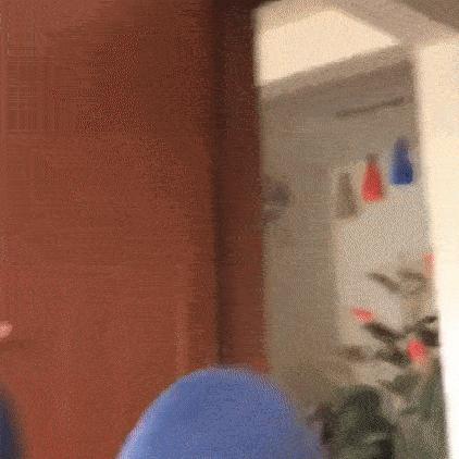 猫比狗聪明吗知乎,猫比狗诚实吗