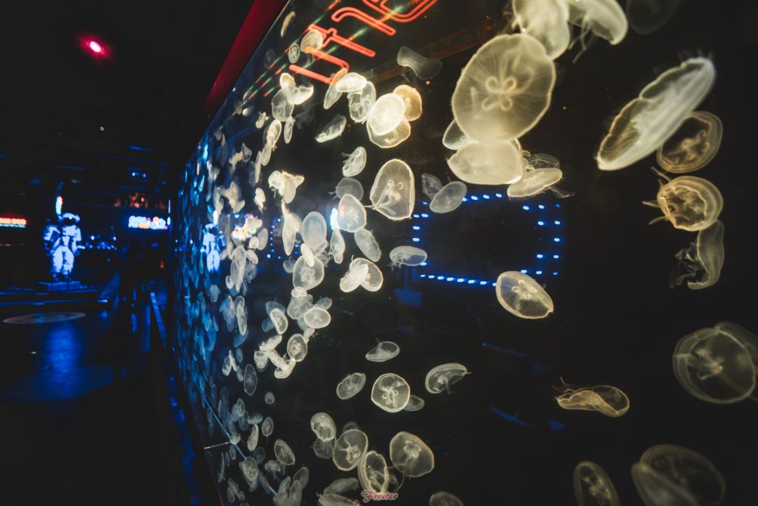 海口贰麻酒馆哪家好,贰麻酒馆是哪个网红开的