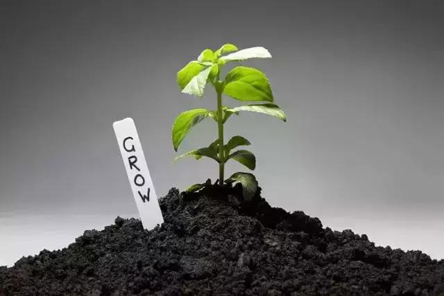 枯草芽孢杆菌对植物作用与功效,枯草芽孢杆菌在水产养殖的作用