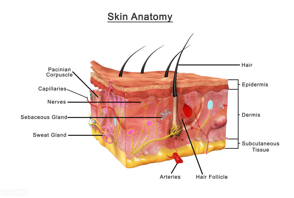 烧烫伤后如何消除肿痛,烧烫伤疤痕怎么能彻底消除