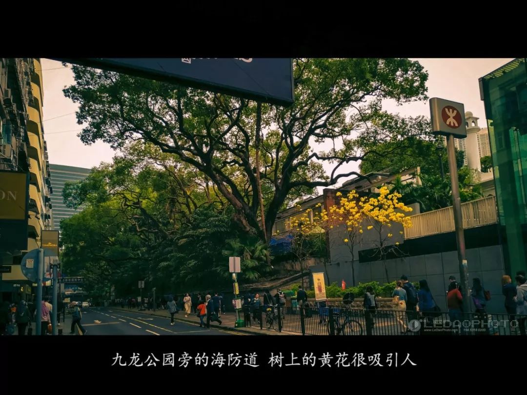 香港一日游拍照大片,香港旅游摄影地点推荐