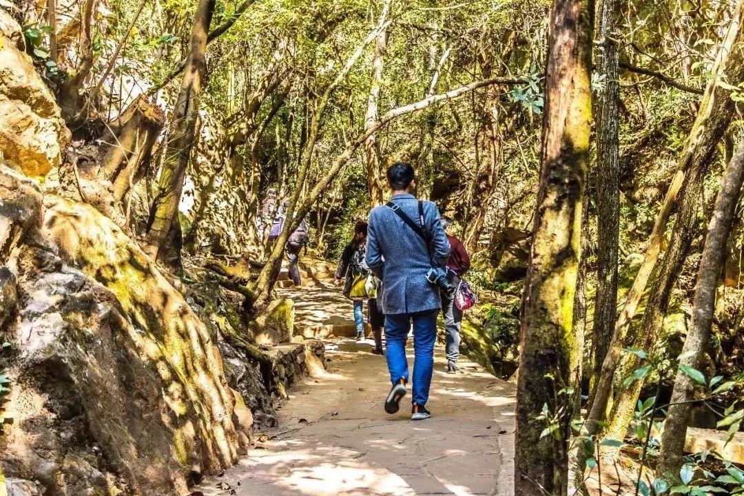 昆明周边好玩的地方青龙峡推荐,昆明青龙峡景区