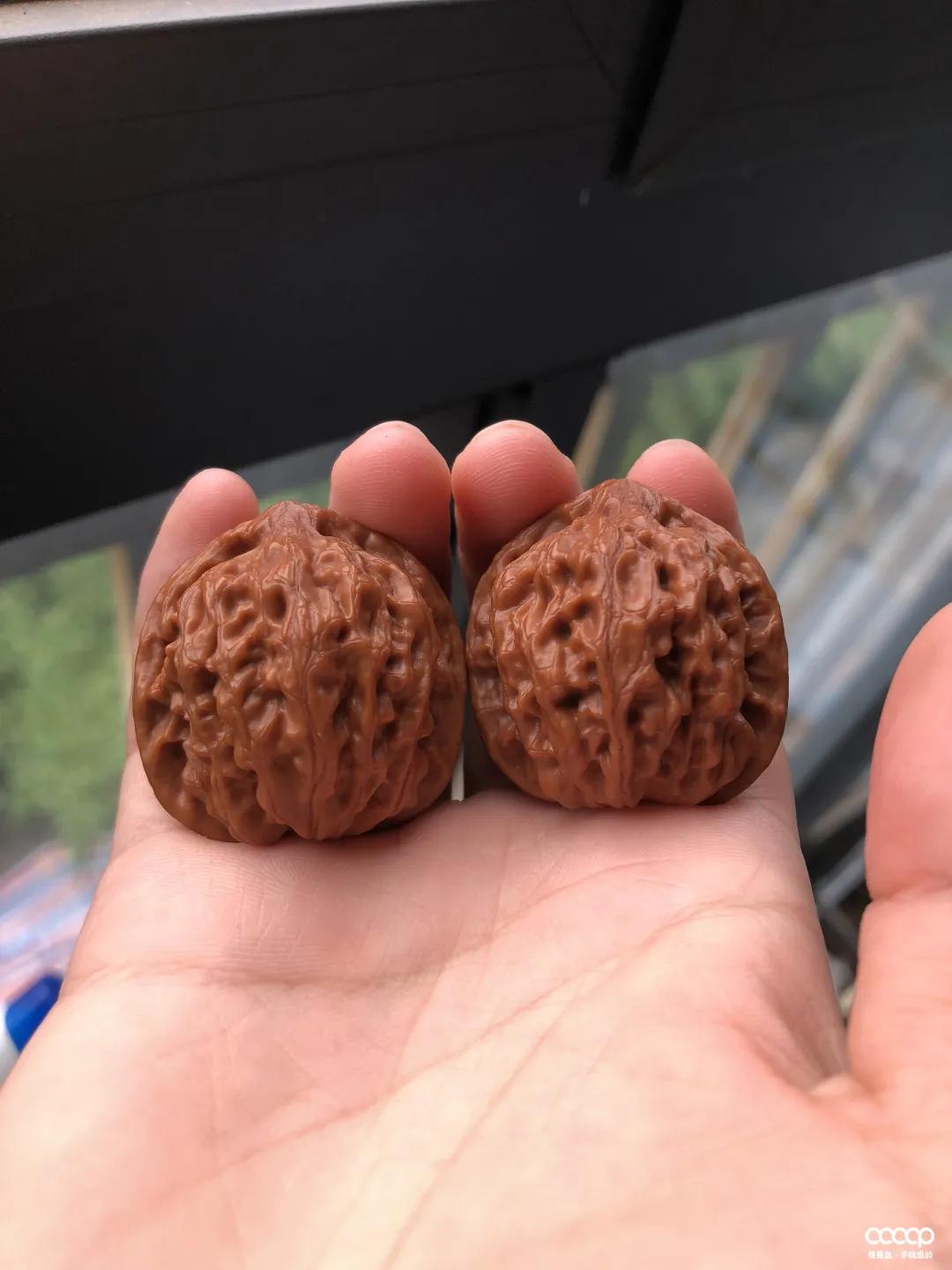 有毒！又一位宝藏小姐姐，玩核桃最爱“马虎”，朋友眼里是奇葩