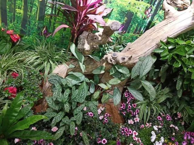 北京延庆周边野游有山有水,北京延庆山顶草甸