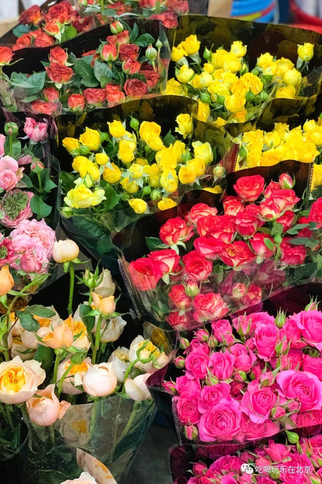 北京崇文区西花市大街,北京通州花市在哪里