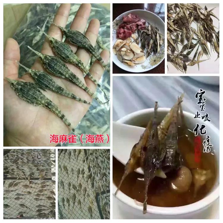 海陵岛闸坡渔港,海陵岛闸坡世界级渔港码头